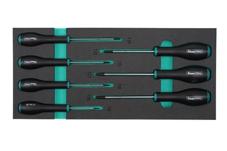 Schraubendreher T8-T30